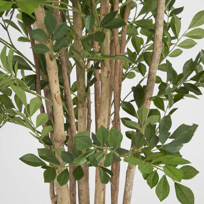 Eucalyptus Mini Leaf Tree 120cm Green