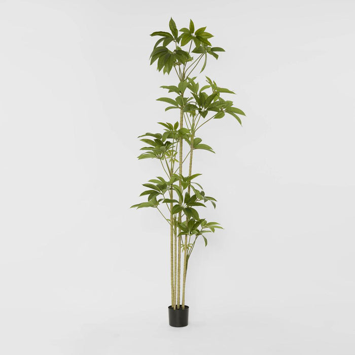 Frangipani Real Touch Tree 210cm