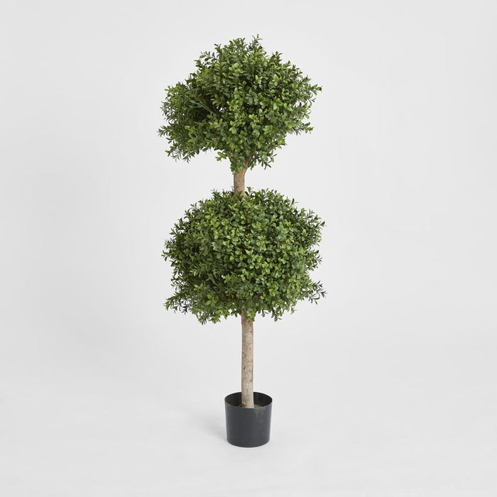 Boxwood Double Ball Tree 1.1m