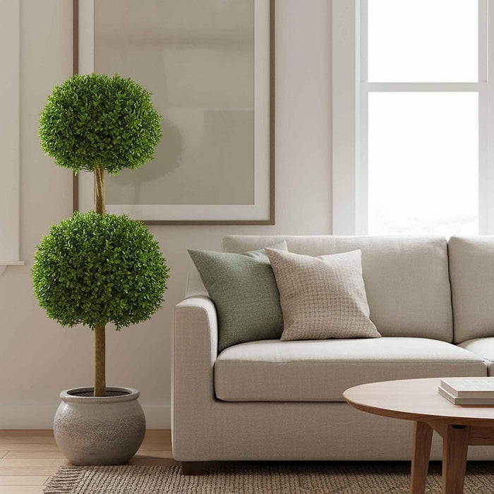Boxwood Double Ball Tree 1.1m