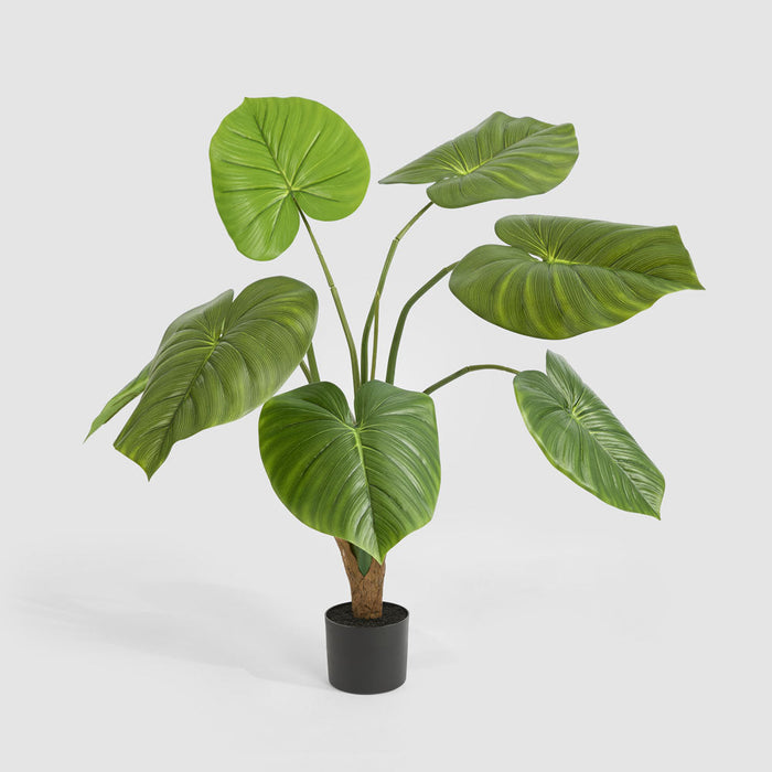Taro Plant Real Touch In Black Plastic Pot