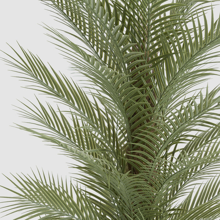 Plam Tree Real Touch Tree