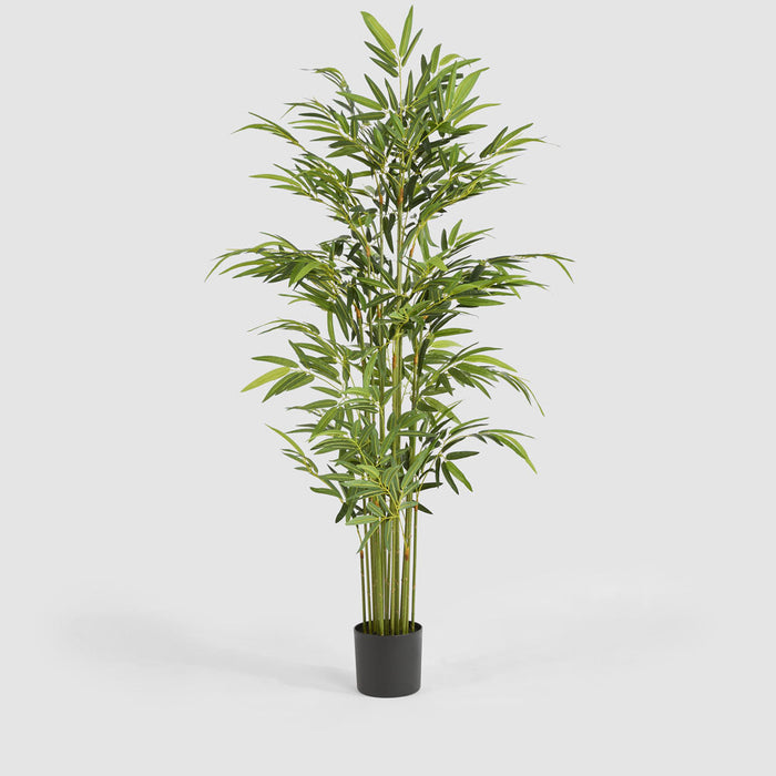 Bamboo Real Touch 180cm