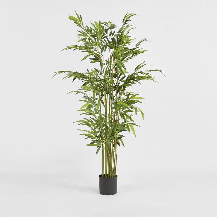 Bamboo Real Touch 180cm