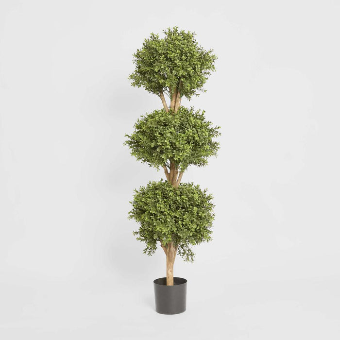 Boxwood Triple Ball Tree 1.2