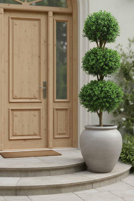 Boxwood Triple Ball Tree 1.2