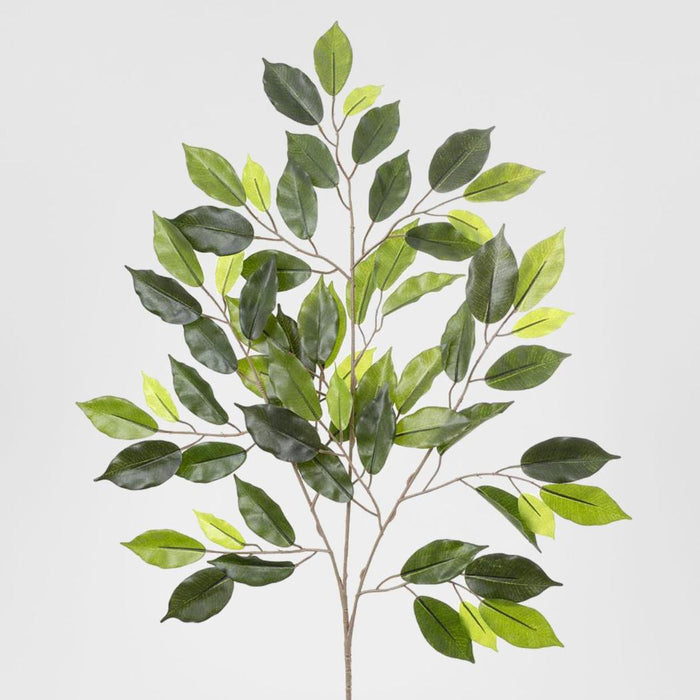 Ficus leaf Spray 75cm 6 pcs