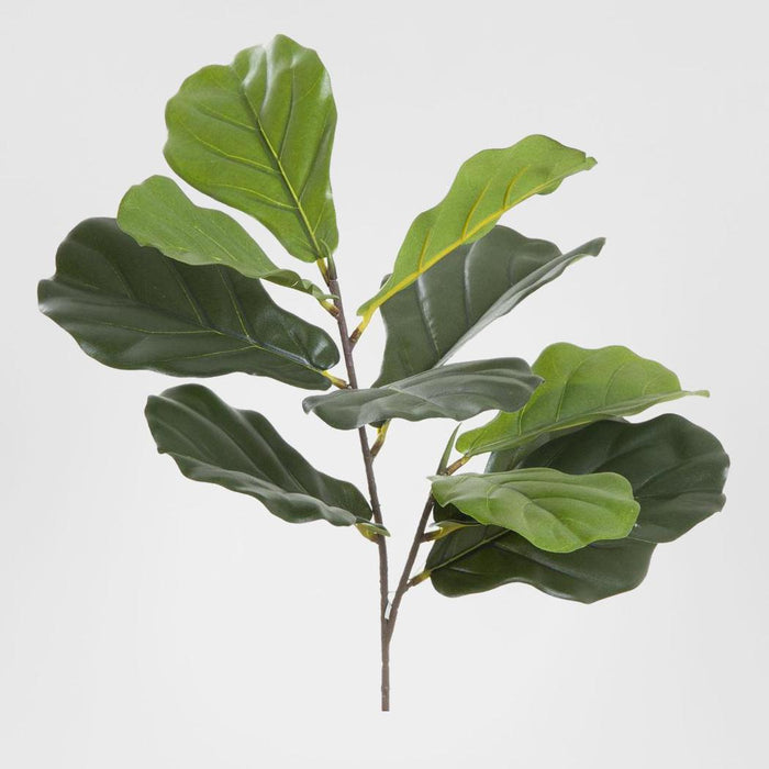 Leaf Fiddle 64cm