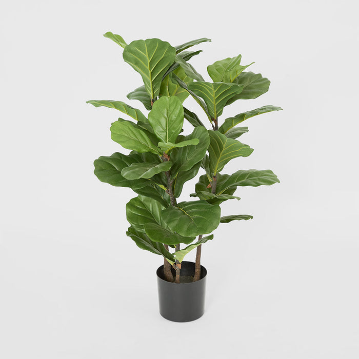 Fiddle Leaf Tree 93cm