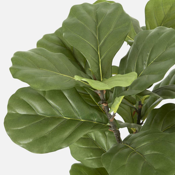 Fiddle Leaf Tree 93cm