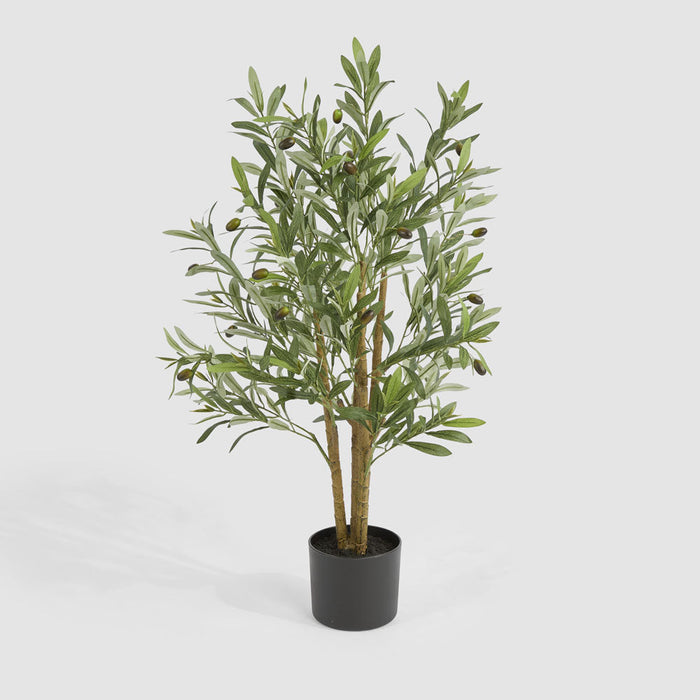 Olive Tree In Black Plastic 90Cm