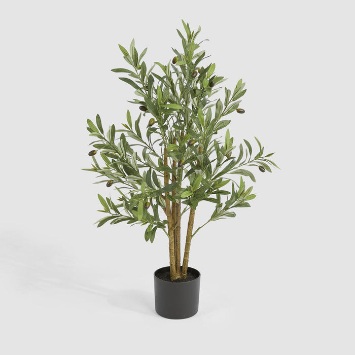 Olive Tree In Black Plastic 90Cm