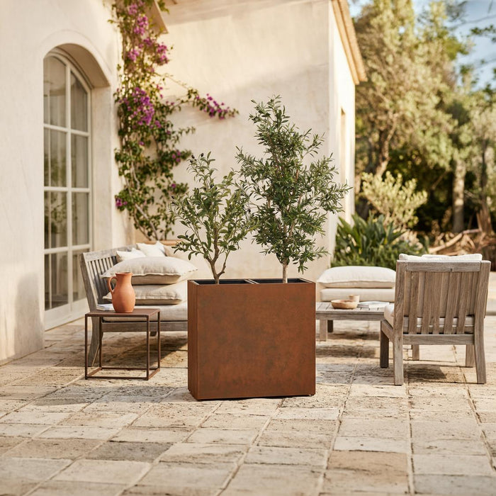 Olive Tree In Black Plastic Pot 120cm