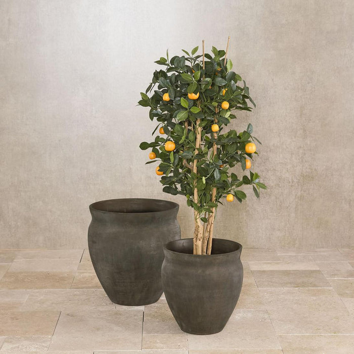 Golden Orange Tree 1.15m