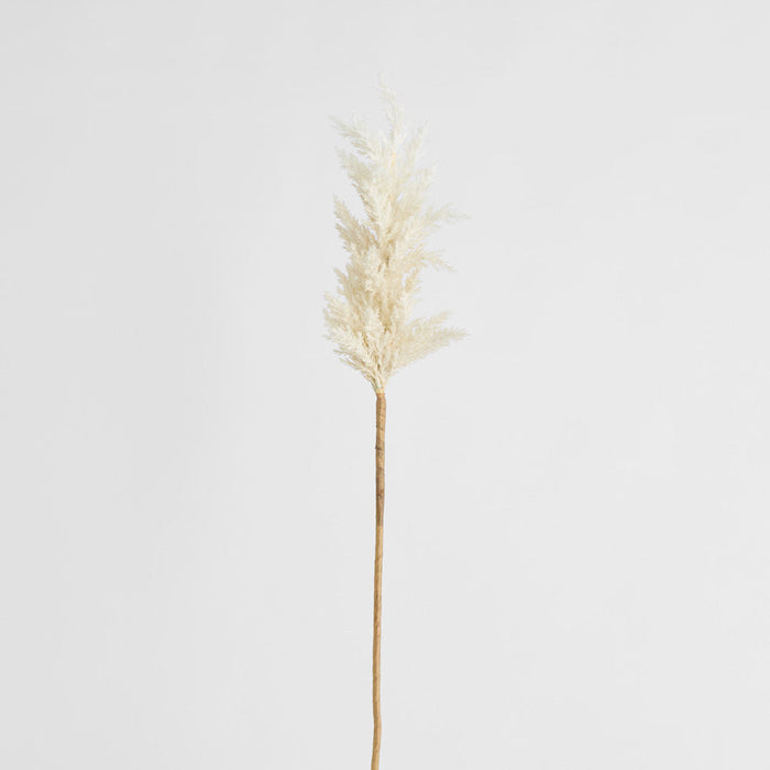 Wheat Astilbe Flower Stem 75cm White 6 pcs