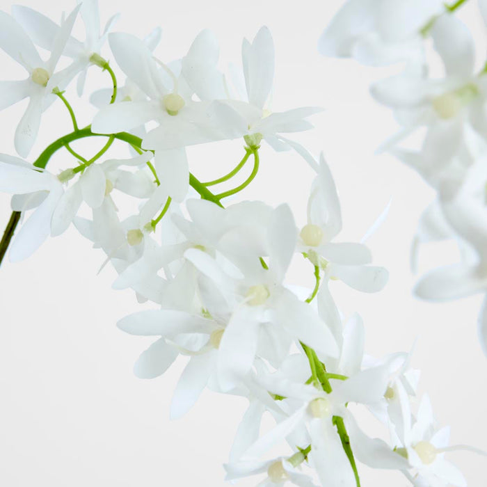 Trailing Wisteria 118cm White