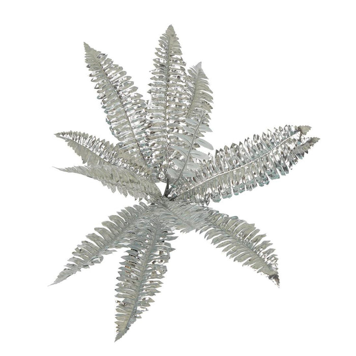 Boston Fern Metallic Silver 6 pcs