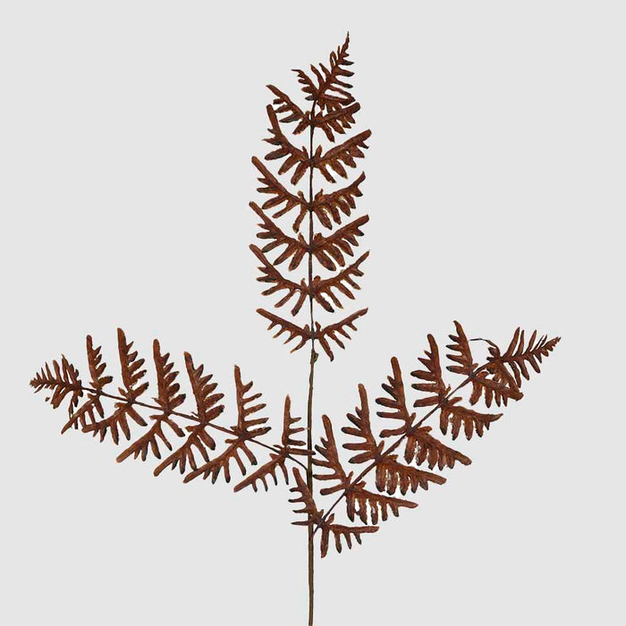Dried Fern Leaf Stem Natural 6 pcs