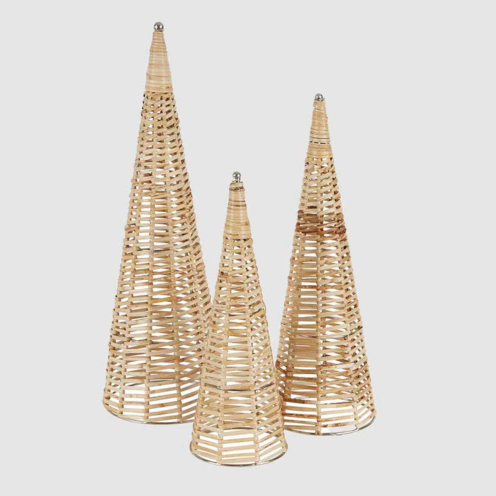 Cane Cone Tree