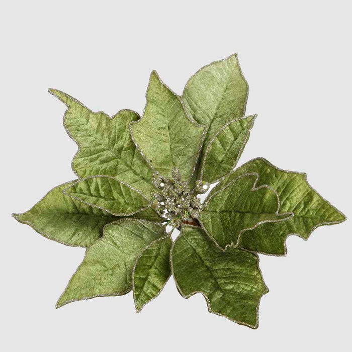 Velve Clip on Poinsettia Green 3 pcs