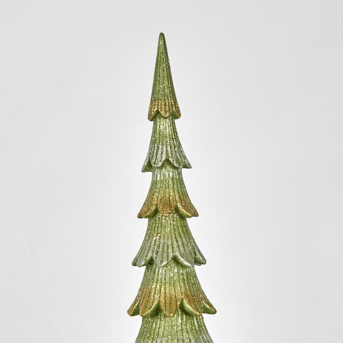 Tannen Fir Tree LGE