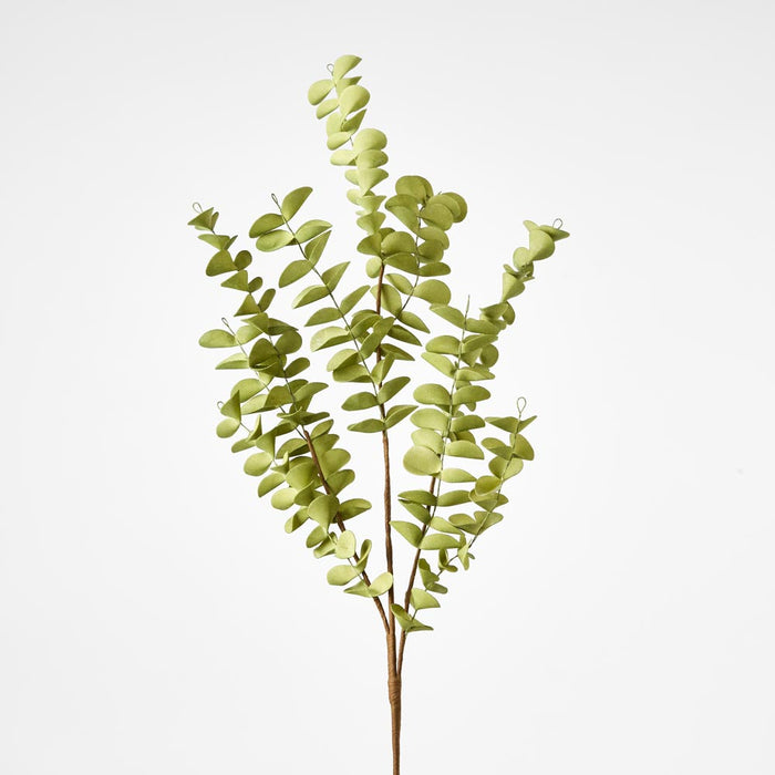 Eucalyptus Stem Light Green 6 pcs