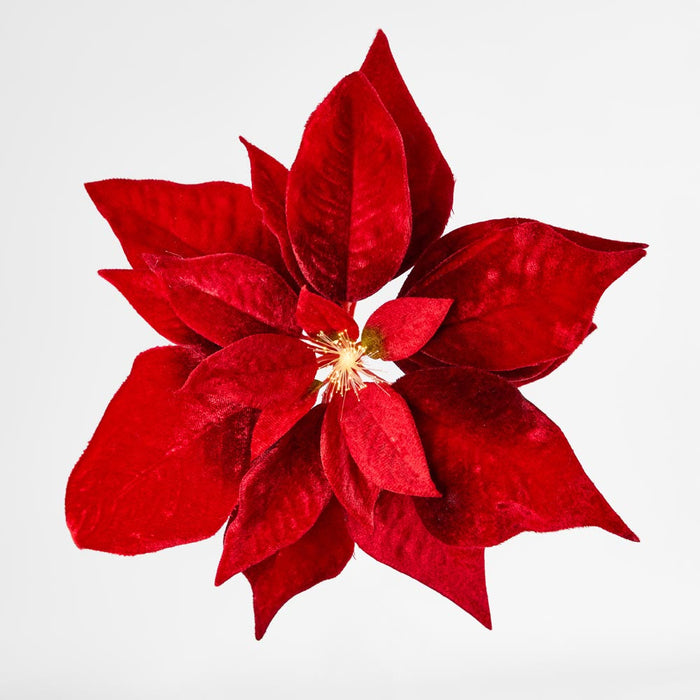 Luxe Velvet Poinsettia Clip on w. Light Up Stamen Red 6 pcs