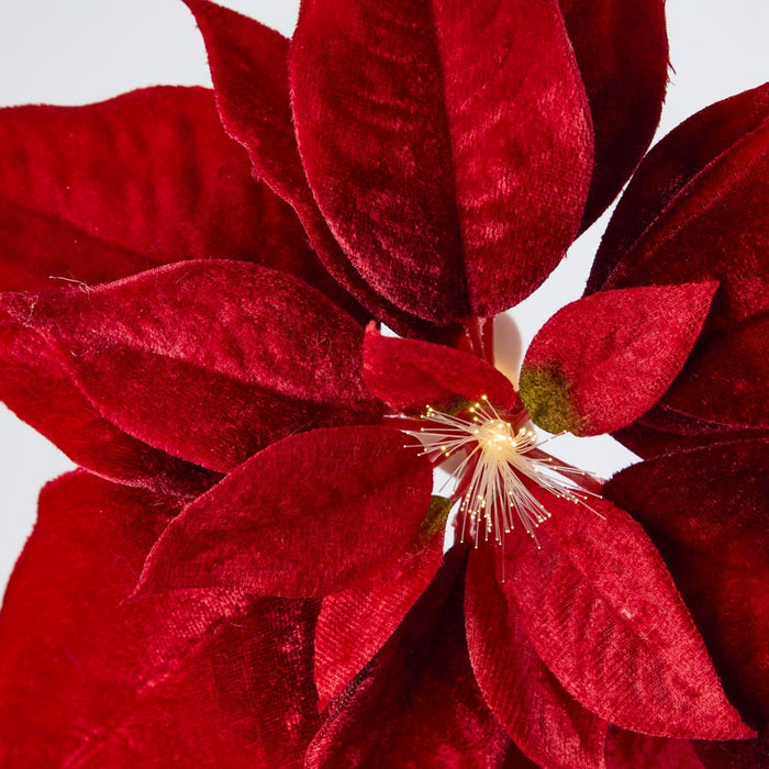 Luxe Velvet Poinsettia Clip on w. Light Up Stamen Red 6 pcs