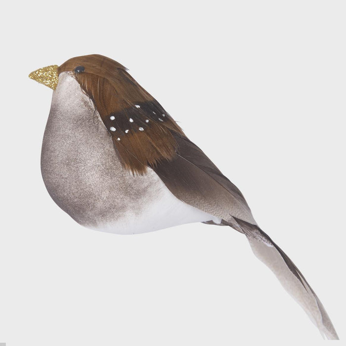 Country Clip on Brown Bird set of 6