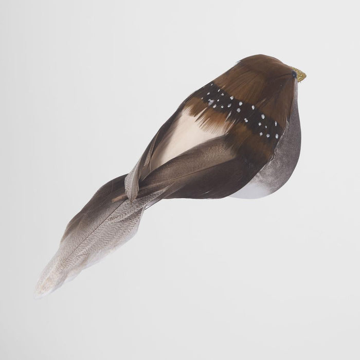 Country Clip on Brown Bird set of 6