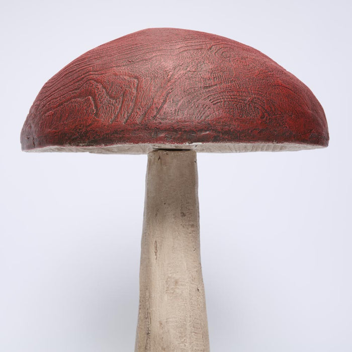 Woodland Mushroom Medium