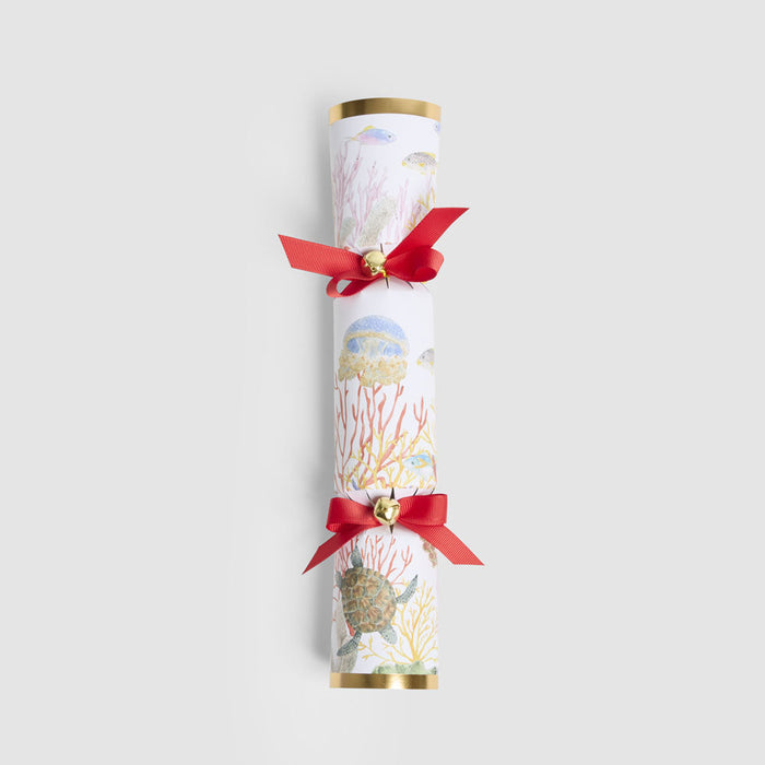 Coral Mystery Crackers ¨C Box of 6