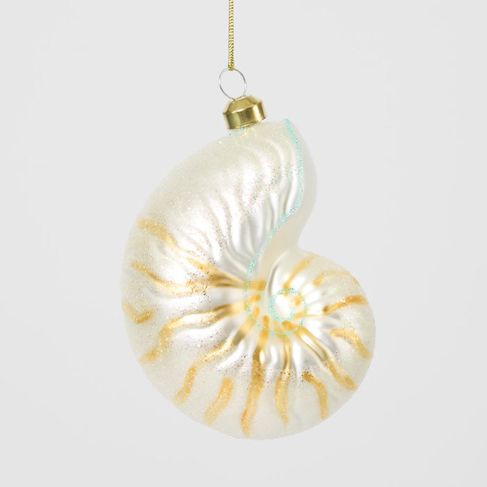 Conch Shell Decoration