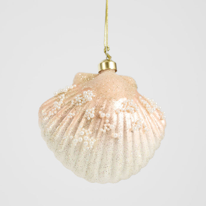 Scallop Shell Decoration