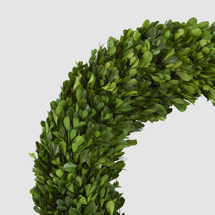 Preserved Boxwood Wreath 45cm