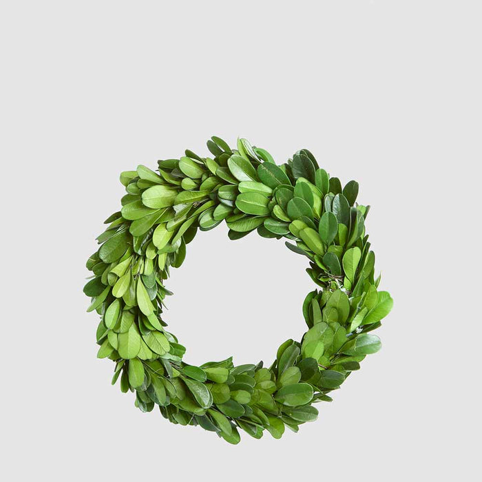 Preserved Boxwood Mini Wreath