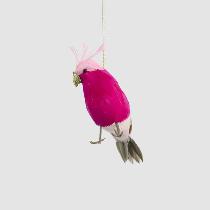 Efina Hanging Budgie Pink