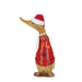NSIMG-SHA256:ef42da488f155b4ccec9091c157c6121b4c6e0966089a3cb31ed6ce16367c0f4 · Isalbi DCUK Traditional Christmas Ducklings 10pcs/5 Assorted