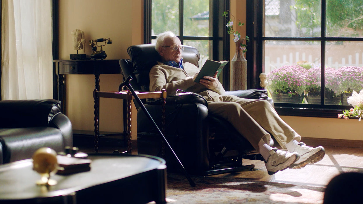 Flexispot - Power Lift Recliner w/ Headrest & Massage & Heat XL6