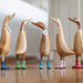 NSIMG-SHA256:7cc04338943210d7454afb37f6db1a5e52f3e90cda6643fd4f5caadd353871ae · Isalbi DCUK Natural Welly Ducklet Flowers CDU 5 Assorted