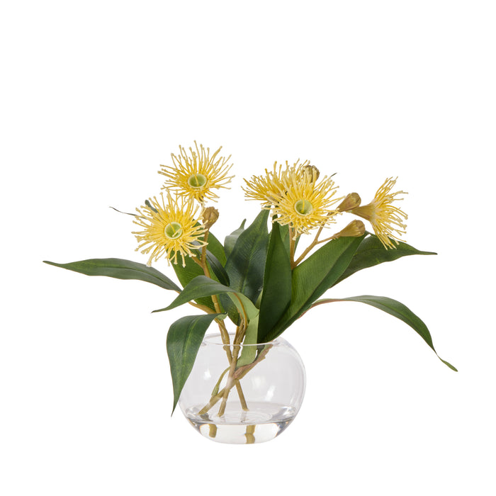 Rogue Flowering Eucalyptus - Sphere Yellow
