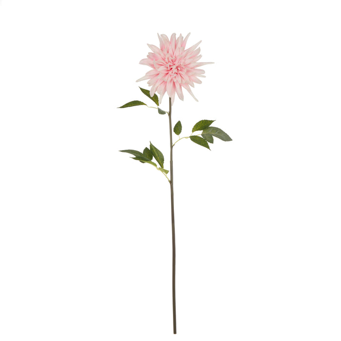 Rogue Dahlia Stem Pink