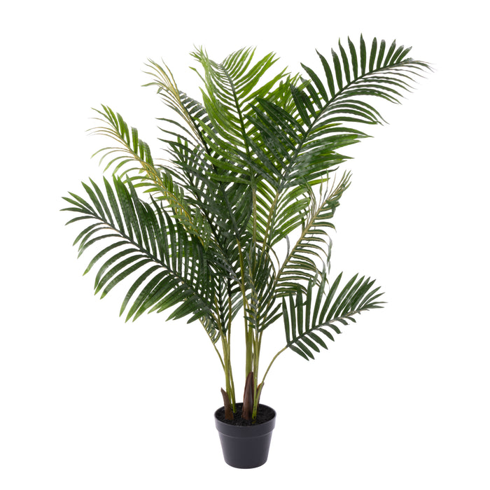 Rogue Areca Palm UV - Garden Pot Green