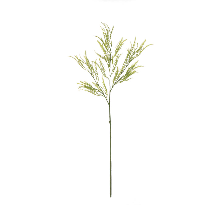 Rogue Grevillea Leaf Spray Green