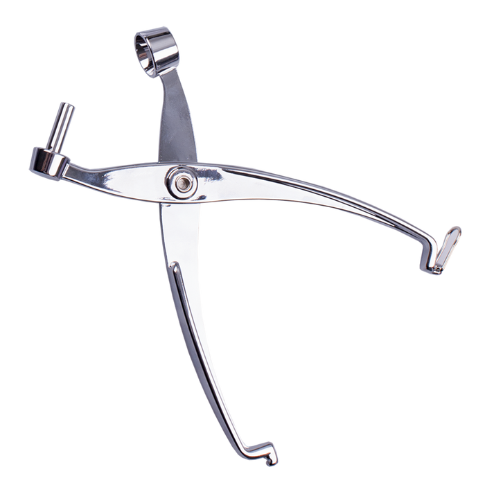 CHERRY & OLIVE PITTER (ALLOY)