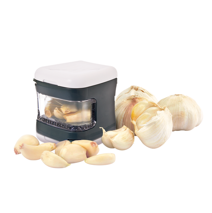 GARLIC CUBE DICER/SLICER CHARCOAL & WHITE