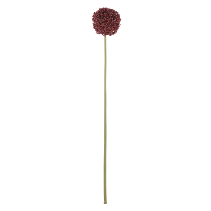 Rogue Allium Spray Burgundy