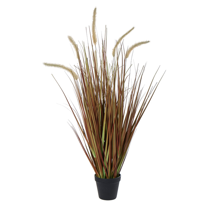 Rogue Grass Plant - Garden Pot Brown