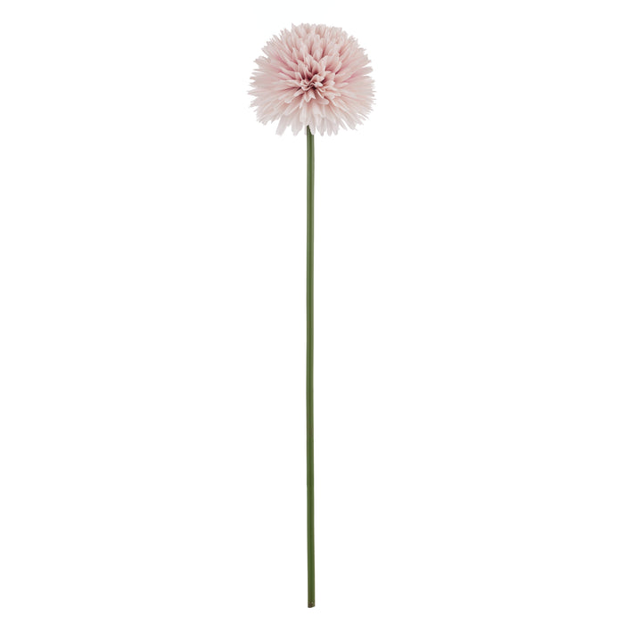 Rogue Kiku Stem Pink