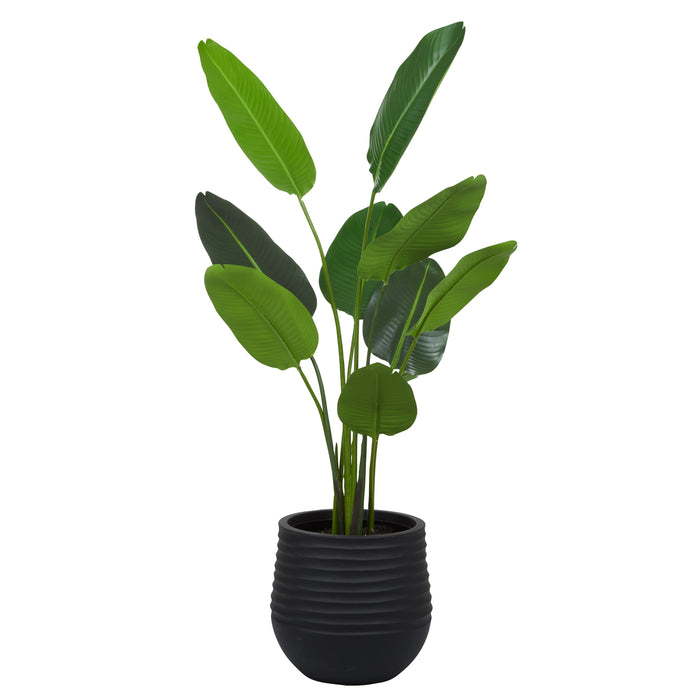 Rogue Bird Of Paradise - Ryker Planter Medium Green & Black